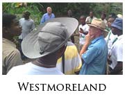 Westmoreland